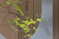辦公室個性裝修設計，巧用這些東西更有創意